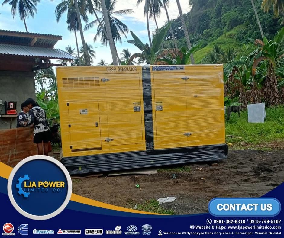 BAUDOUIN 500KVA Supply - Picong, Lanao del Sur deployment photo 3
