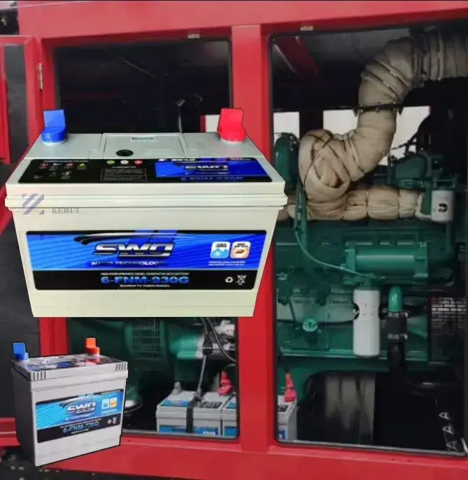 PGS-1-100-F thumbnail 4